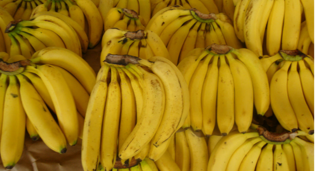 Plátano mexicano llegará a China en agosto
