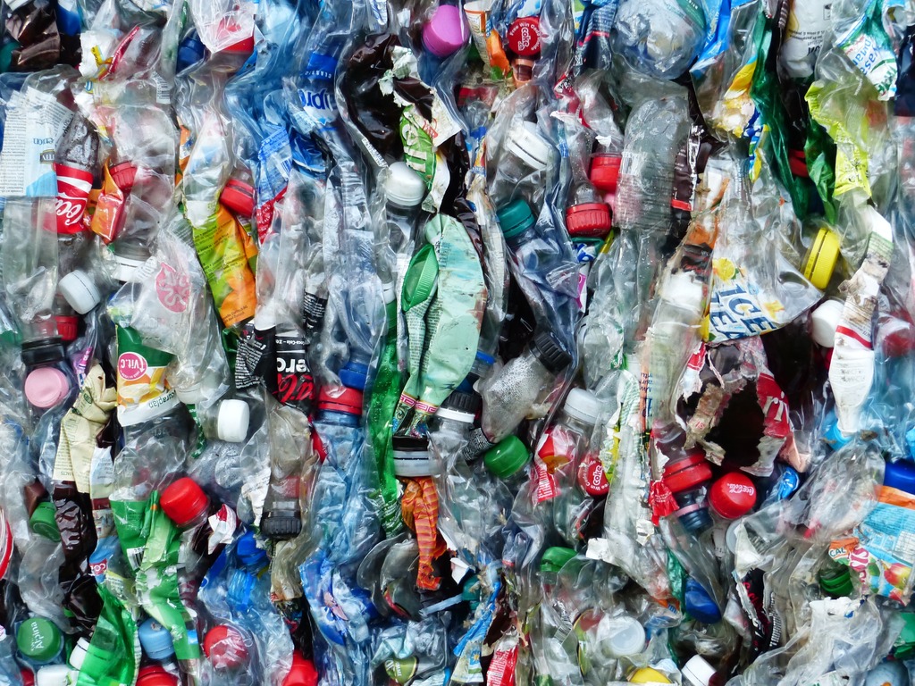 México toma medidas para evitar contaminación por plásticos: Pacchiano