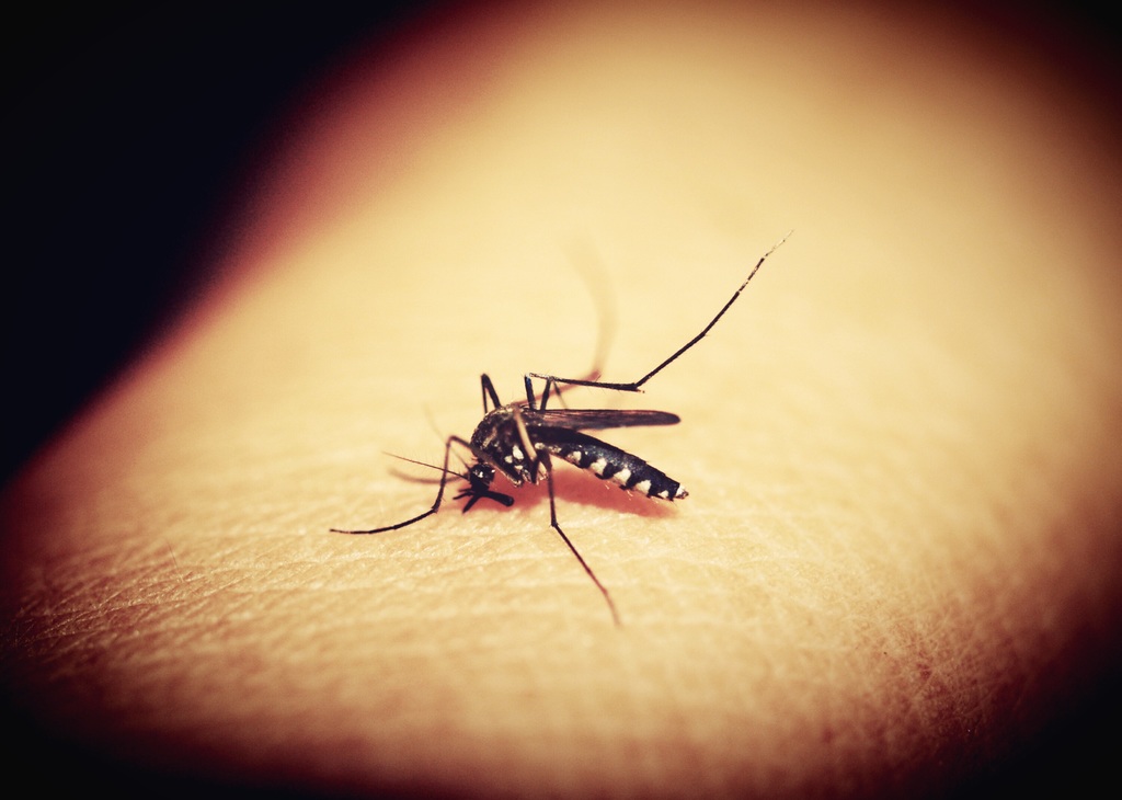Mortalidad infantil en Brasil sube a causa del virus zika
