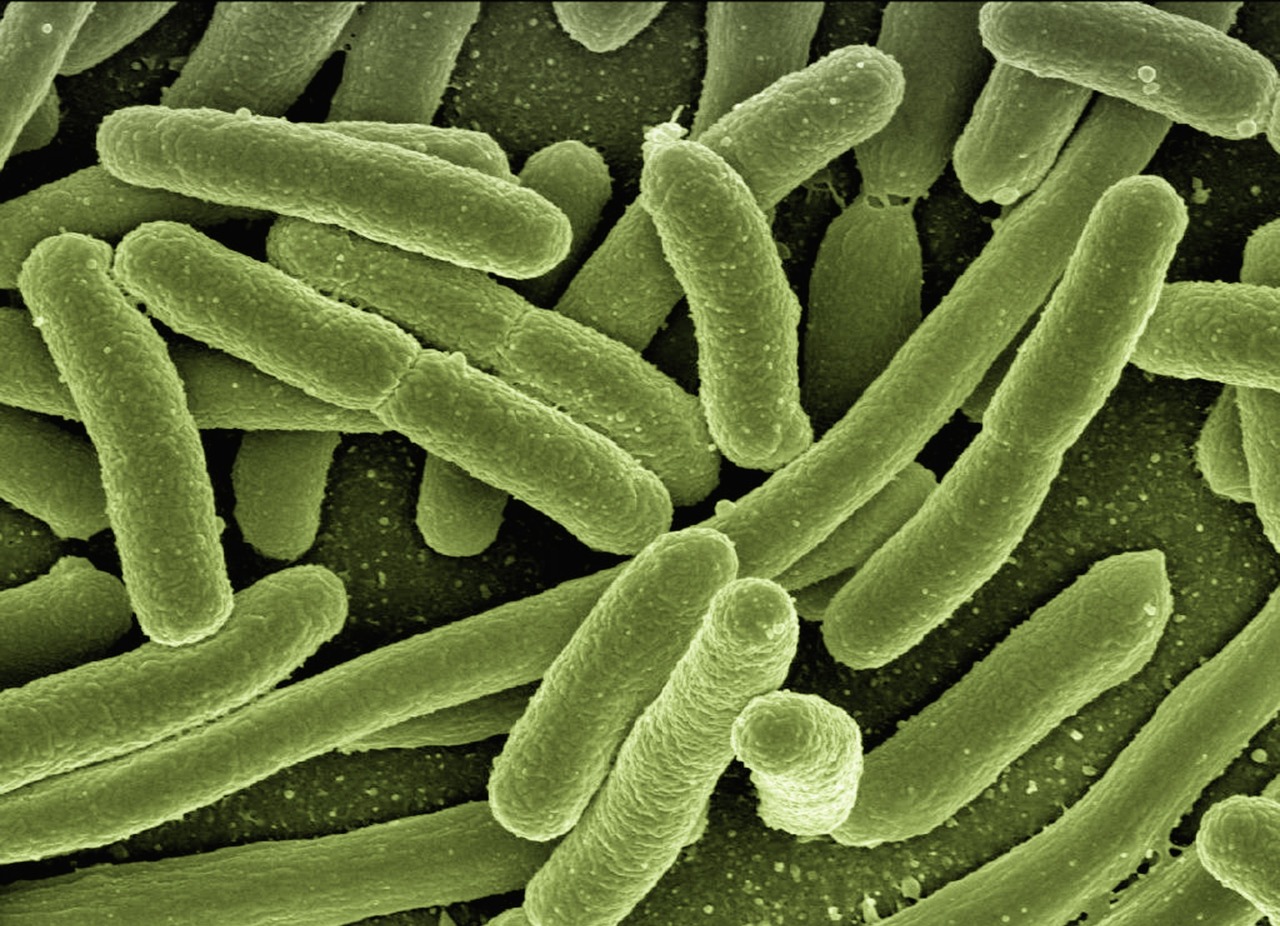 Bacterias en hospitales son cada vez más resistentes a los desinfectantes