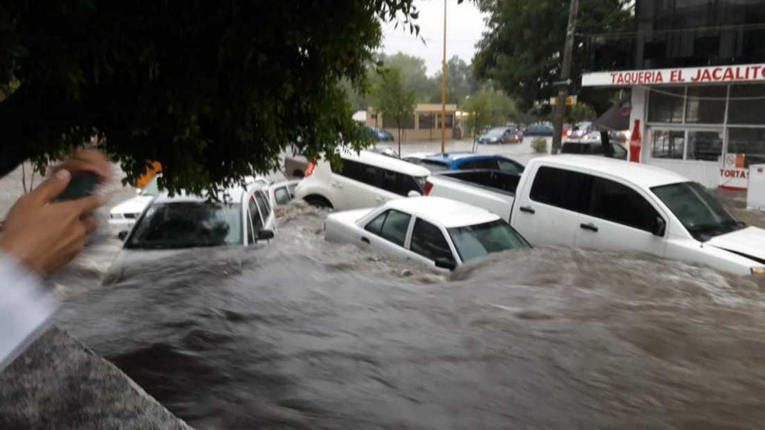 ¿Te quedaste en el auto en medio de la inundación? Esto es lo que debes hacer