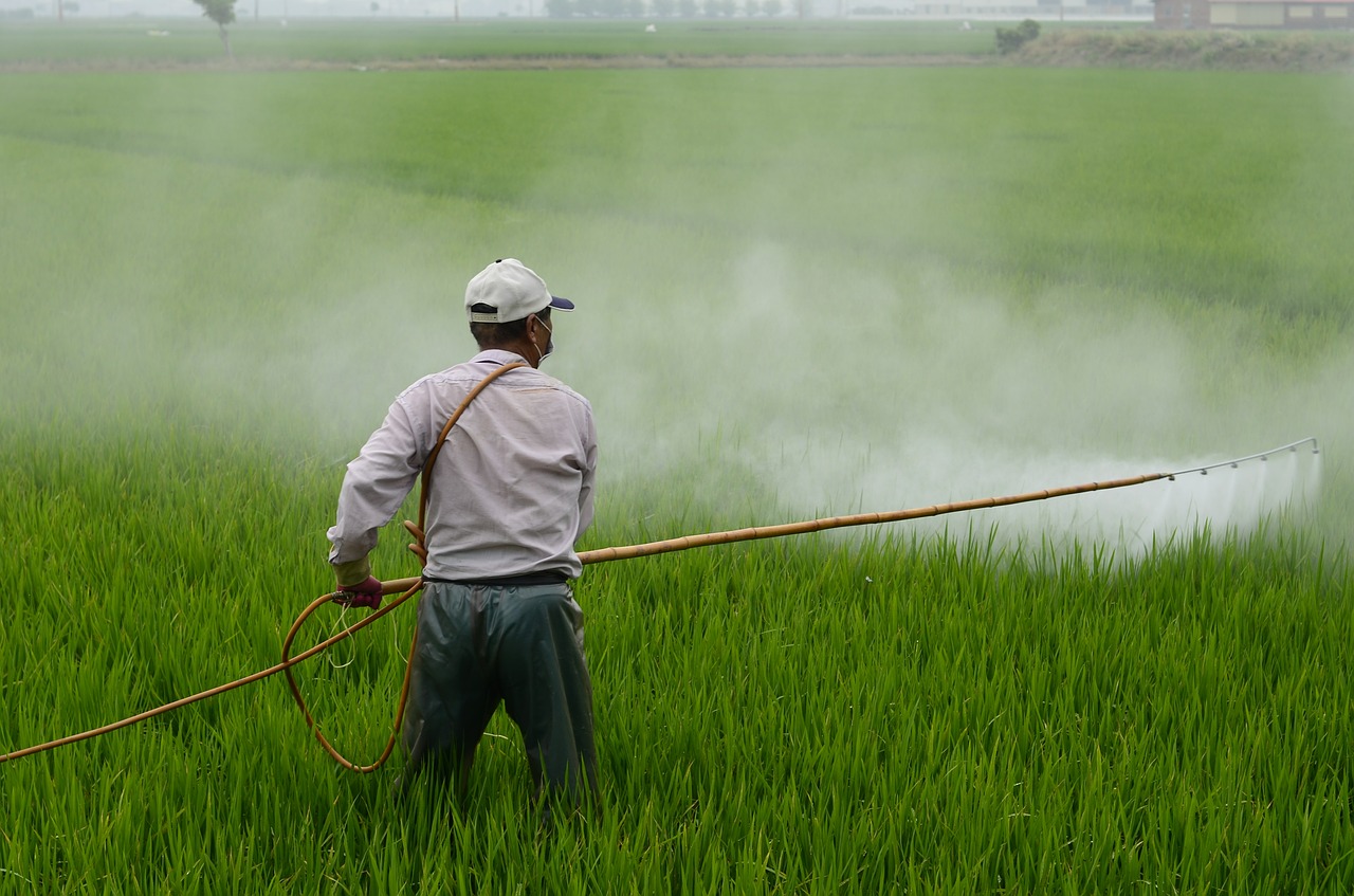 🎥 (VIDEO) Herbicida de Bayer-Monsanto es un peligro para la salud