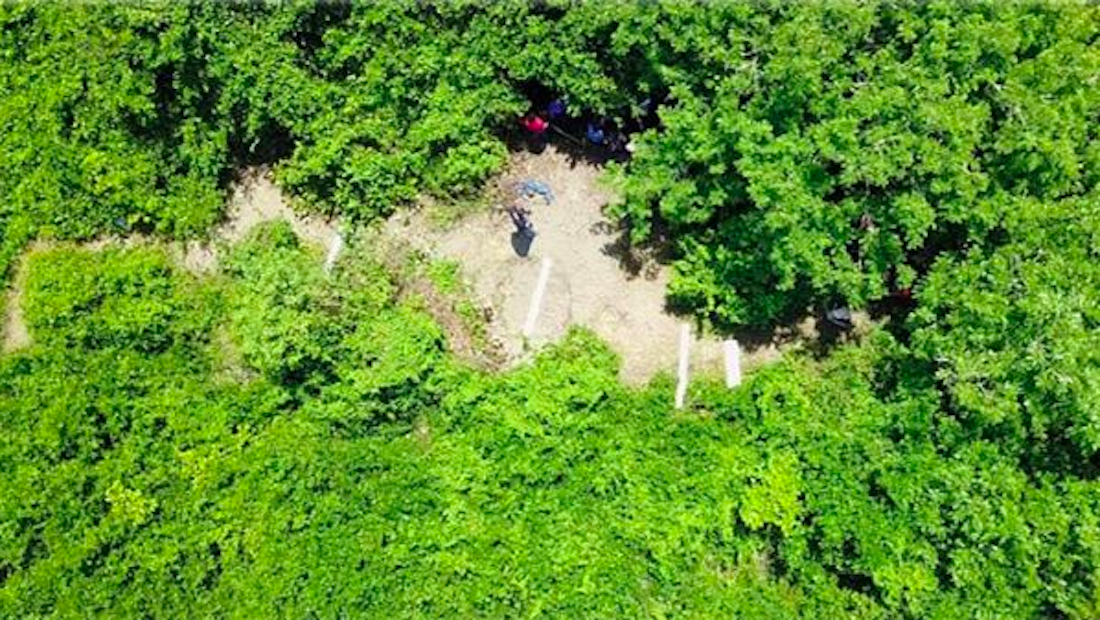 Hallan 166 cadáveres en fosa clandestina en Veracruz
