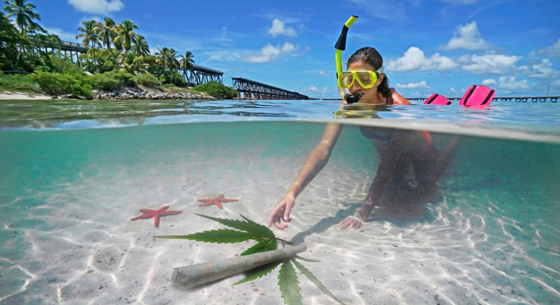 Paquetes de marihuana, nuevos souvenirs en playas de Florida