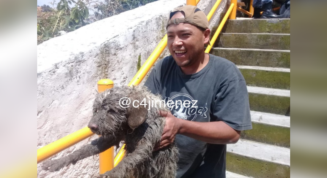 VIDEO: Perrito cae al barranco y es rescatado en Álvaro Obregón