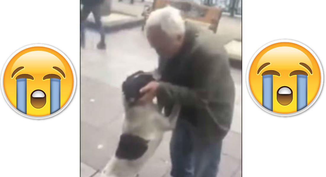 VIDEO: Un anciano encuentra a su perro, tres años después de perderlo