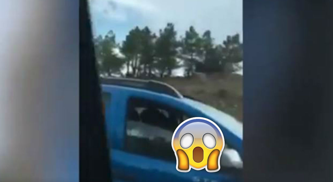 VIDEO: Pareja es captada «poniéndole» mientras manejan