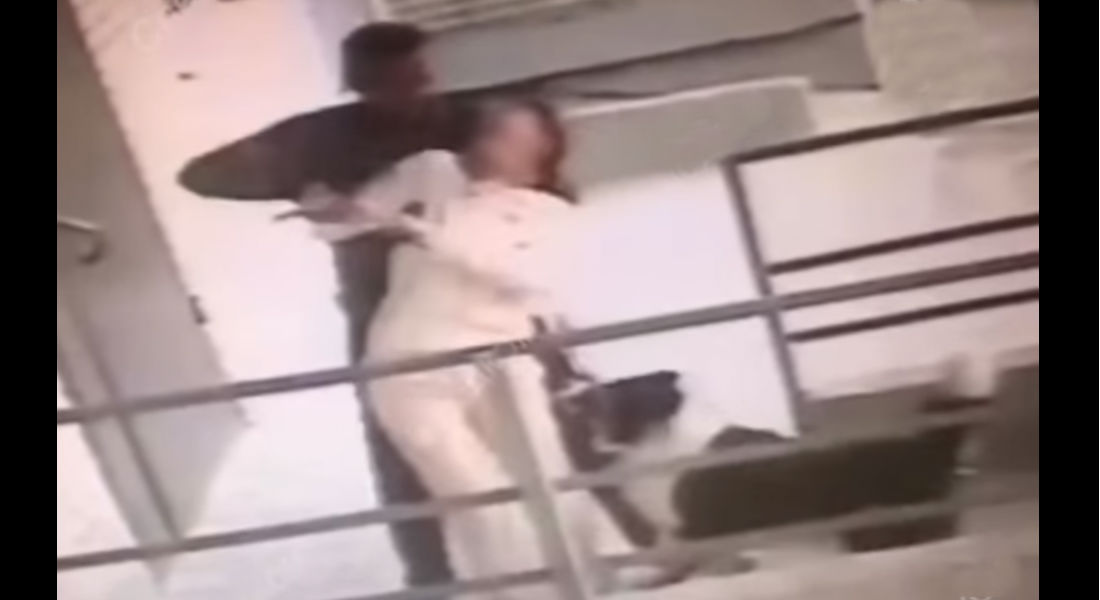 VIDEO: Perro evita que su dueña sea apuñalada