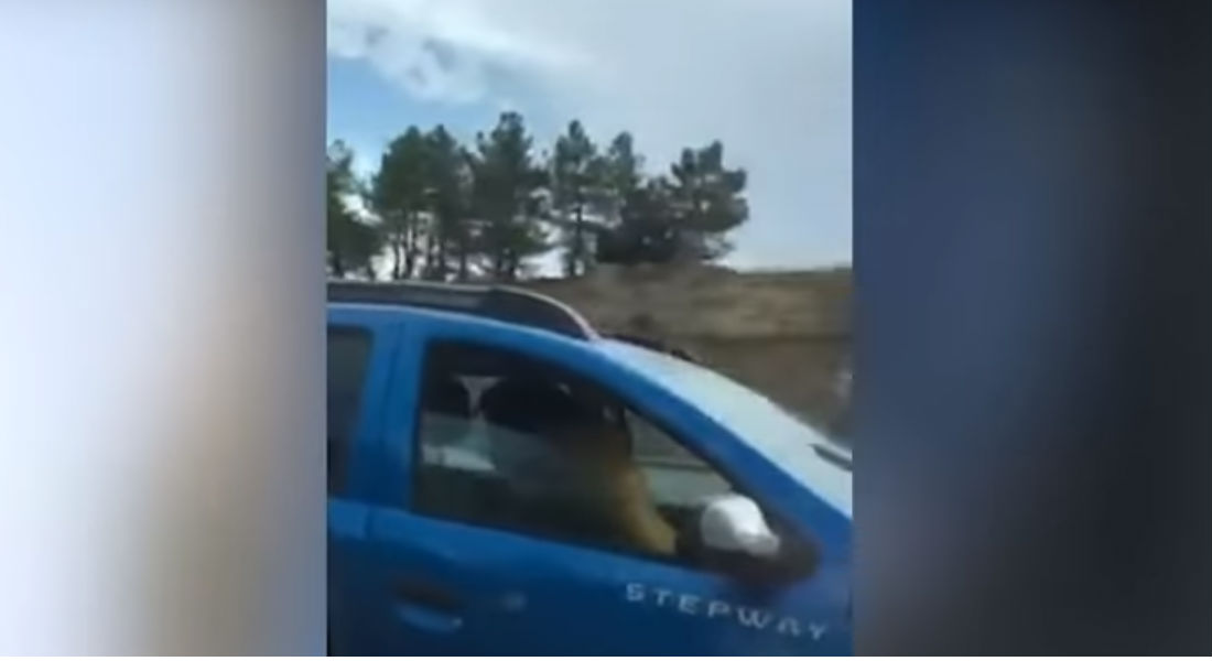 VIDEO: Pareja «le pone» mientras maneja en carretera