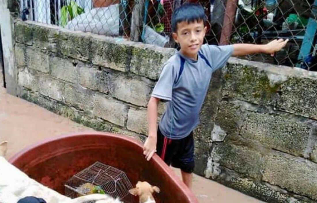 Niño se pone a rescatar animalitos tras el paso del huracán Willa