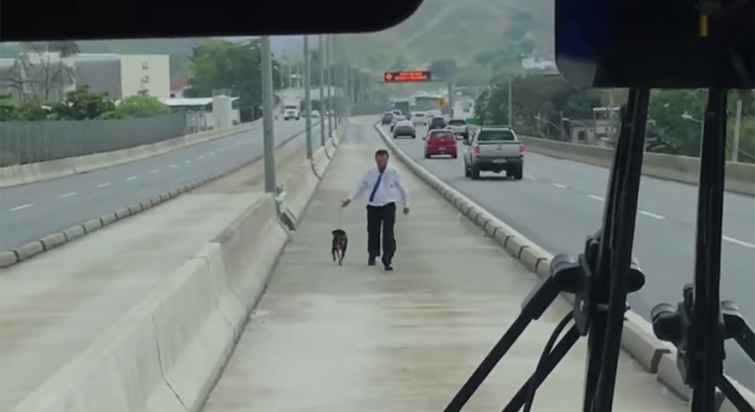 VIDEO: Conductor de autobús salva a perrito en medio de la calle