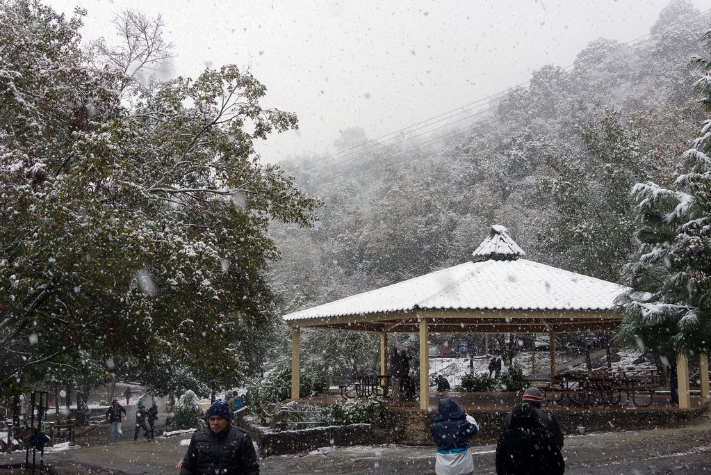 VIDEO: Cayó la nieve en el Parque Chipinque y turistas quedan fascinados