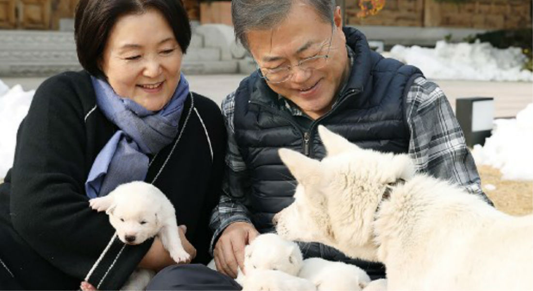 Perros Pungsan simbolizan la unión entre las dos Coreas