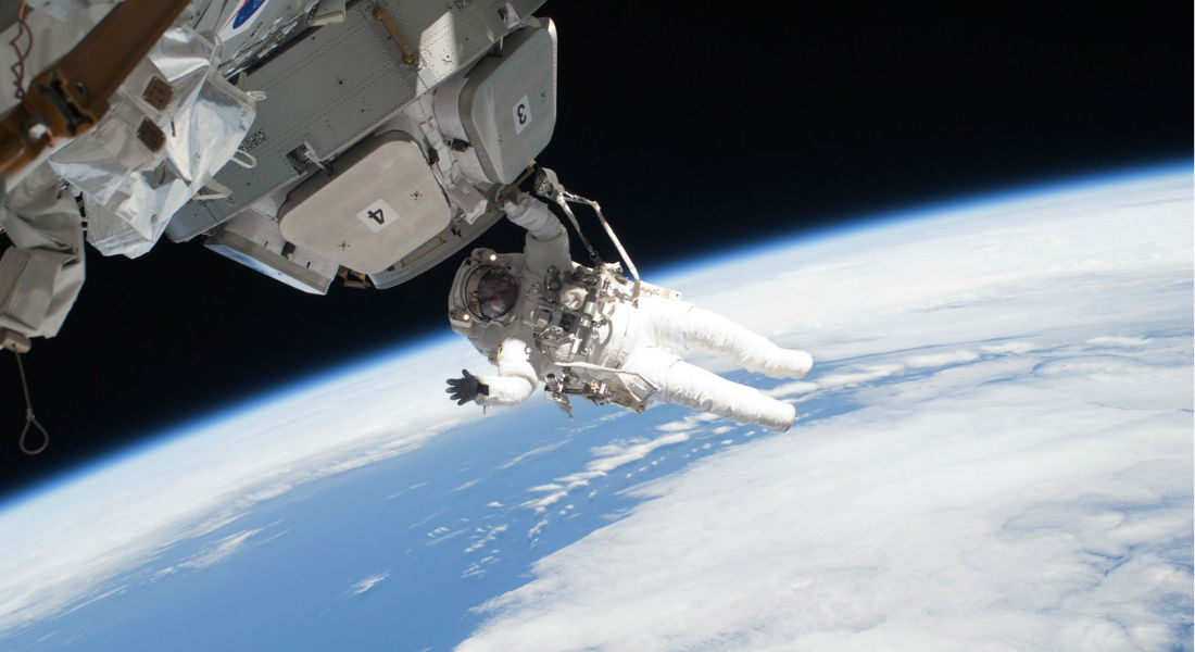 ¡Extraños «bichos» invaden la Estación Espacial Internacional!