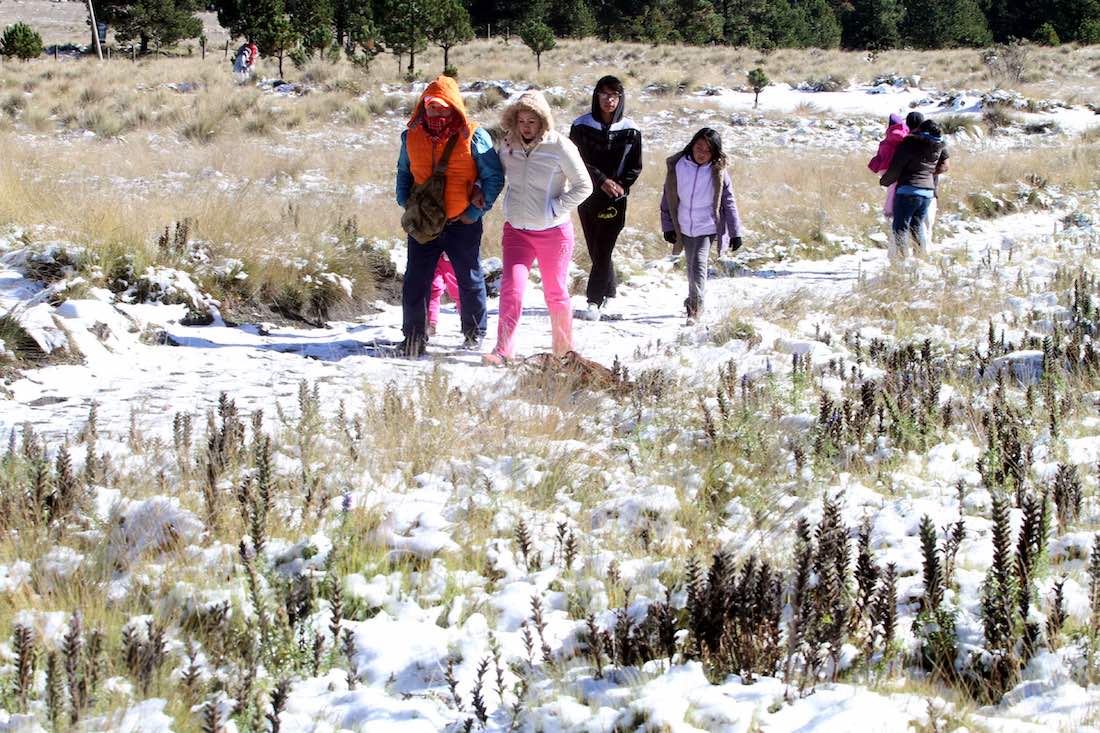 Nuevo frente frío provocará heladas en el norte y centro México