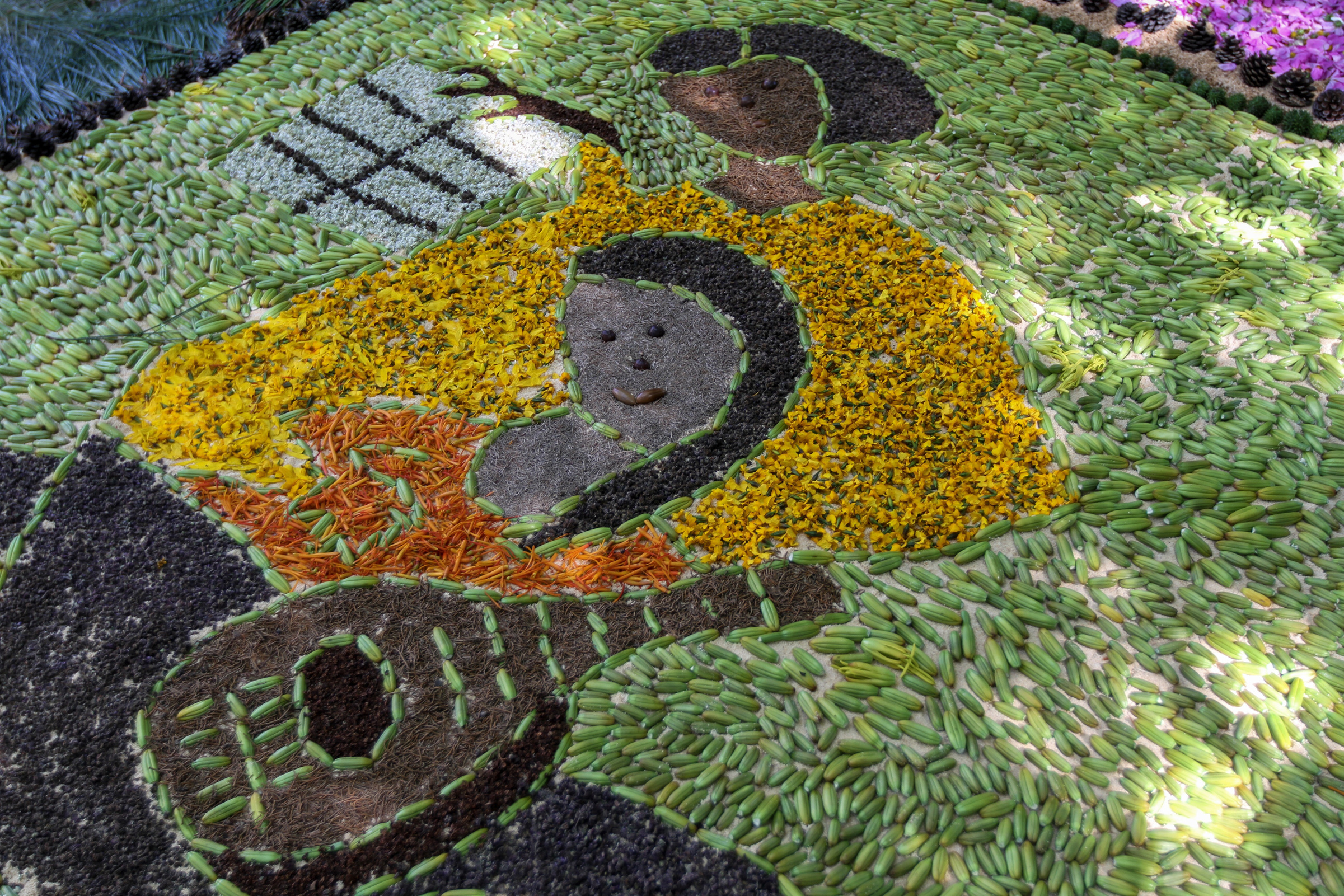 Con Tapetes Florales Morelia homenajea a la Tierra en este festival