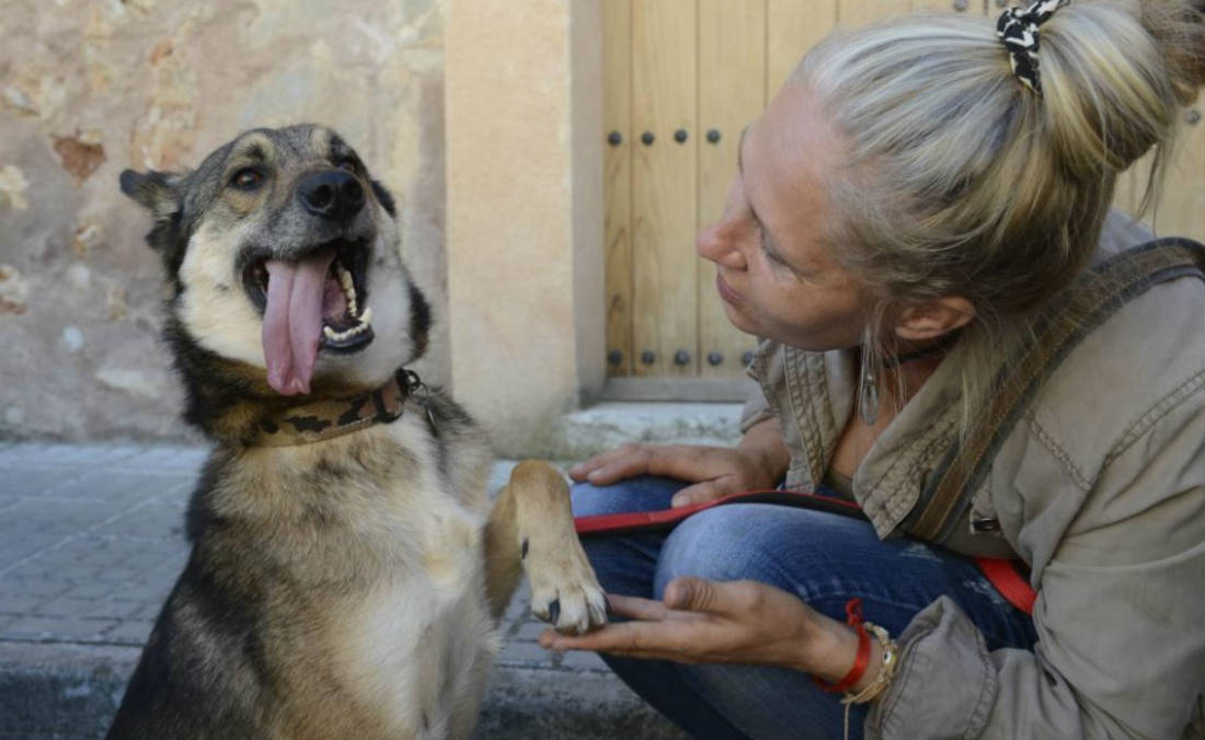 Rescatan a perrito en casa donde «le ponen» con animales