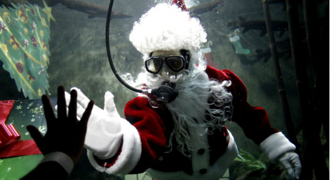 Santa Claus se sumerge en el acuario de la bella Guadalajara