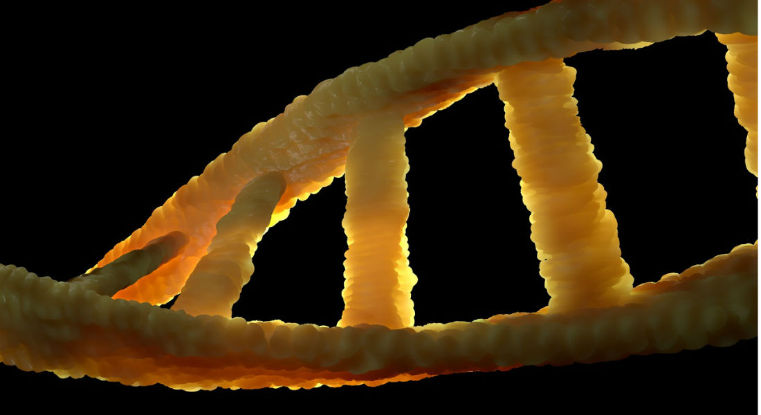 El Descubrimiento del Año deja al descubierto el ADN