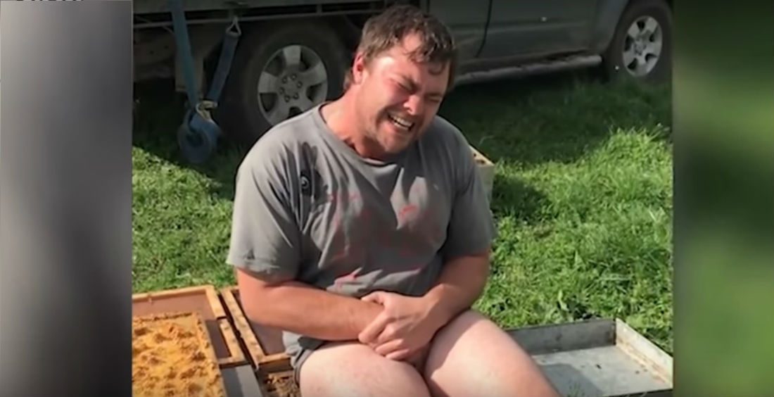 VIDEO: Se sentó, sin ropa, sobre un panal de abejas