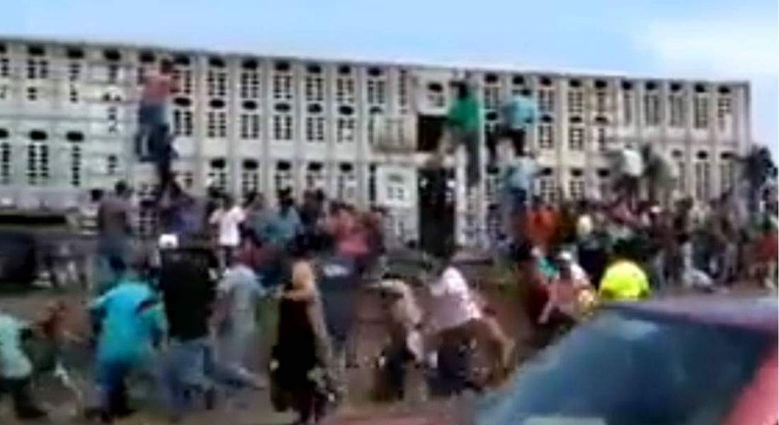 VIDEO: En Veracruz se roban las vacas por accidente de tráiler