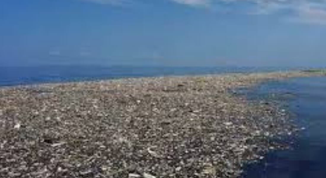 ¿En dónde «desaparecen» las toneladas de plástico en los océanos?
