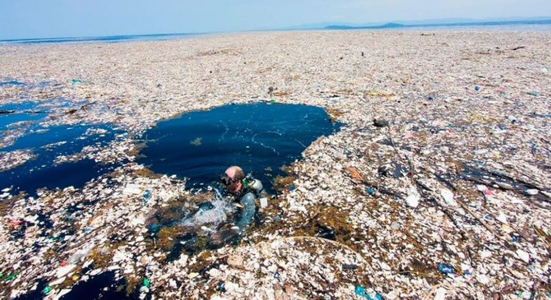La enorme isla de basura en el Pacífico es tres veces más grande que Francia