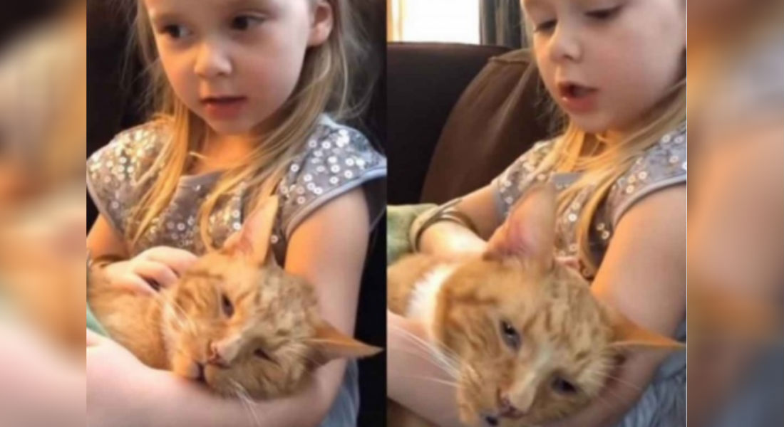VIDEO: Niña da el último adiós a su gatito con esta canción