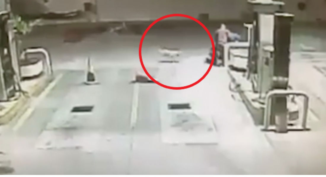 VIDEO: “Randy”, el perro que frustró robo en gasolinera