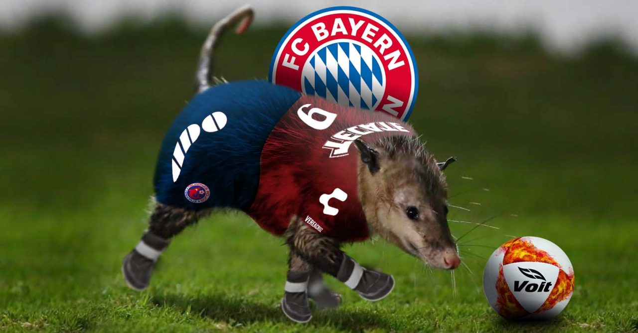 VIDEO: Bayern Munich busca a “El Jarochito”, el famoso tlacuache de la Liga MX