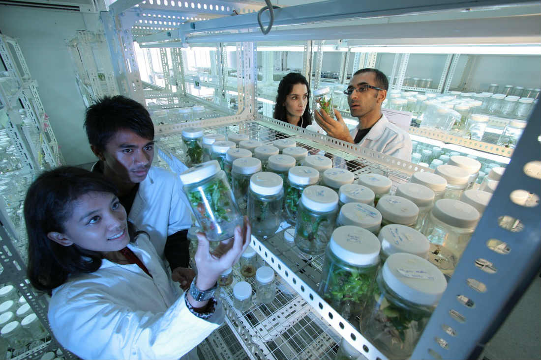En la UNAM desarrollan sistema para detectar 280 enfermedades en 24 horas