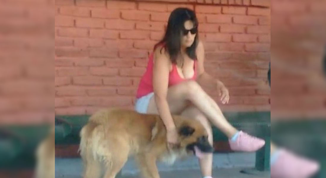 VIDEO: Mujer irresponsable abandona a su perro y testigos la “destrozan”