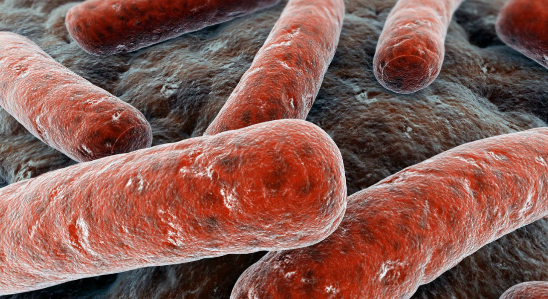 La tuberculosis multirresistente, una amenaza mundial