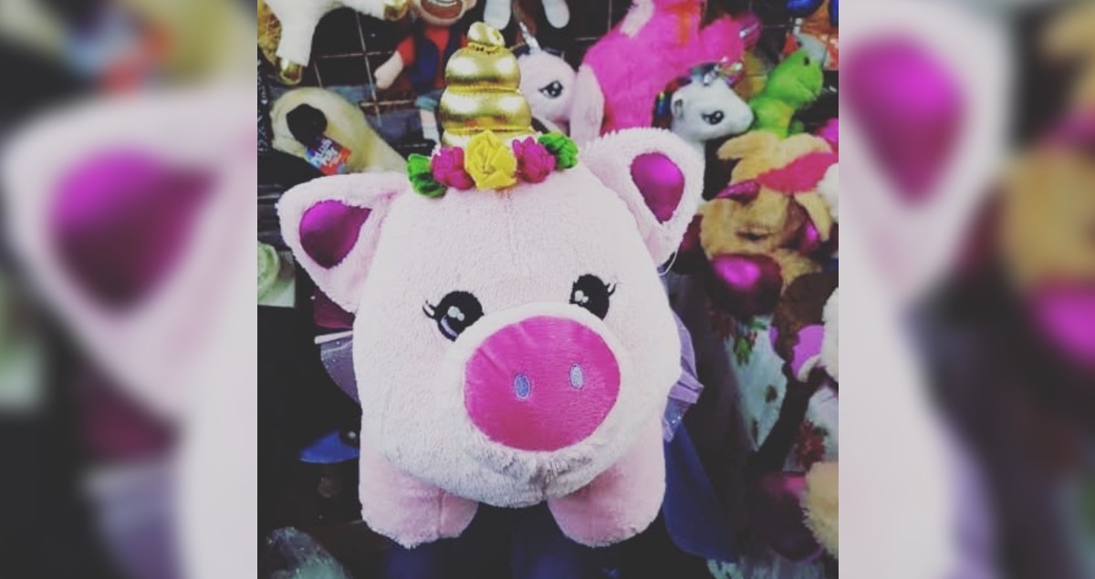 Puercocornio, ¿el regalo perfecto para el 14 de febrero?