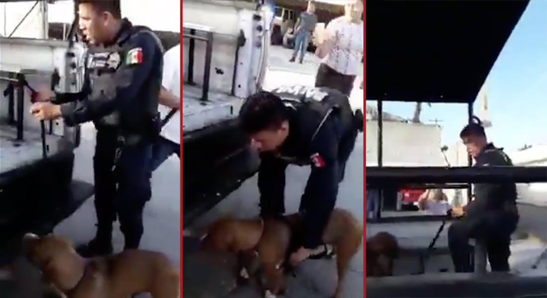 VIDEO: Policías arrastran a perro y ciudadanos los denuncian