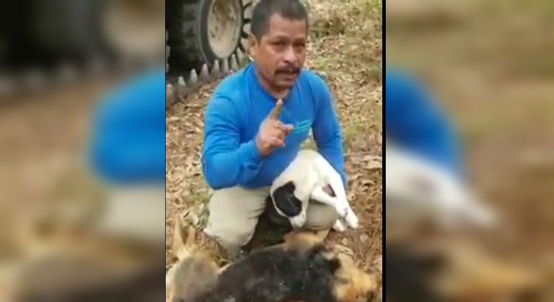 VIDEO: Envenenan a sus perritos y dueño no logra contener el llanto