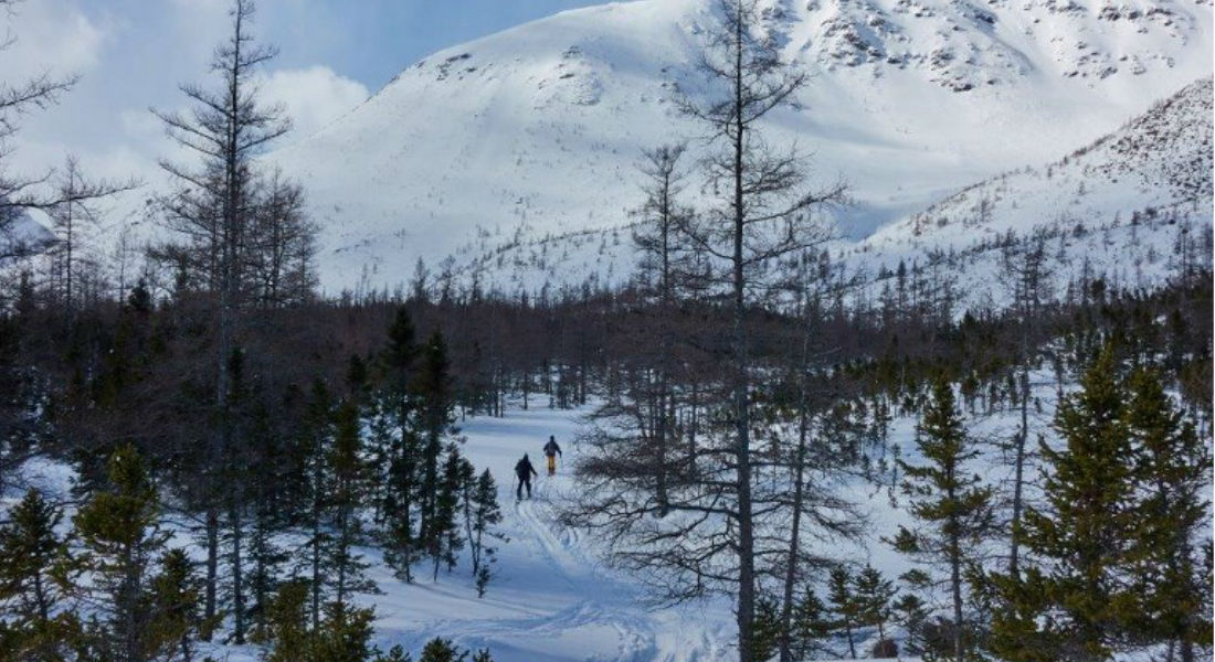 Pareja canadiense erige el laberinto de nieve más grande del mundo
