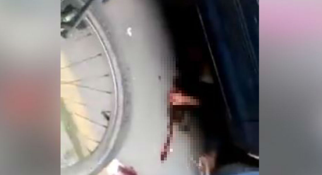 VIDEO: Rata intenta asaltar a automovilista pero su víctima lo atropella