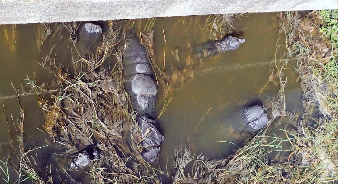 Hallan 20 bolsas con restos humanos en canal de aguas negras en Jalisco