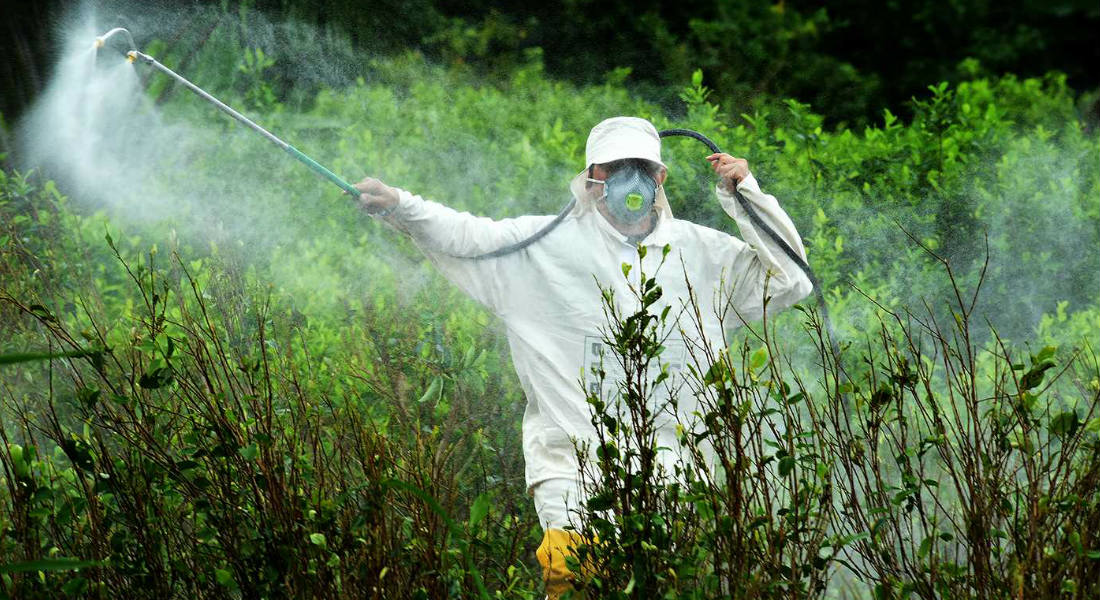 Herbicida de Monsanto es catalogado como cancerígeno