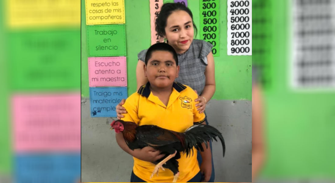 Alumno regala un gallo a su maestra y conmueve en redes sociales