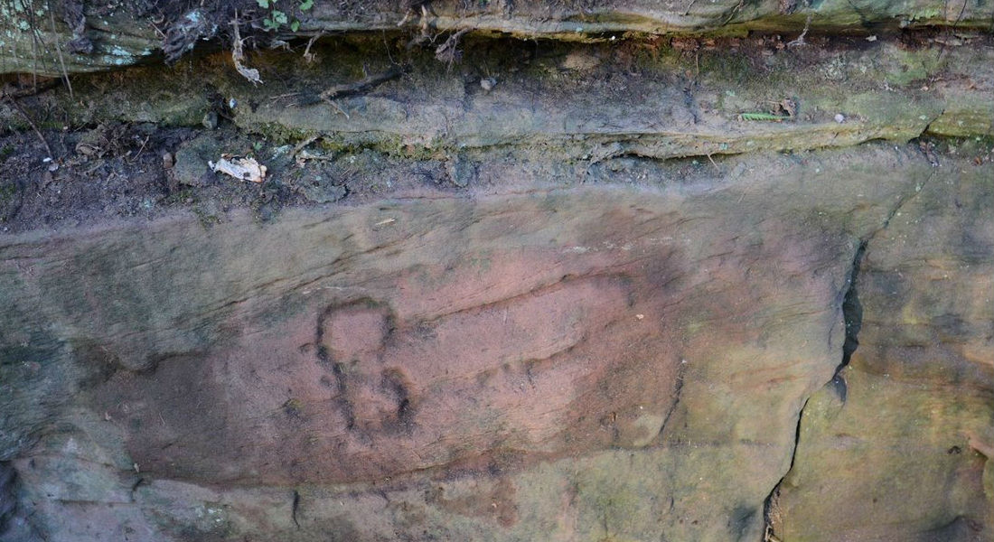 Descubren el dibujo de un “nepe” más antiguo del mundo