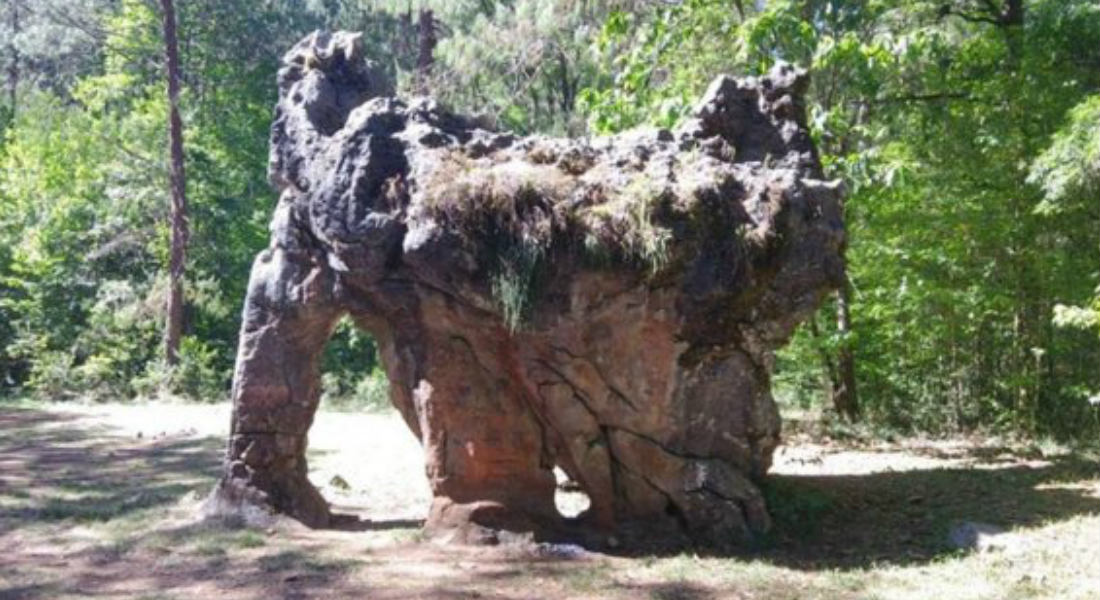 Familia regia vandaliza la Piedra del Elefante en reserva natural