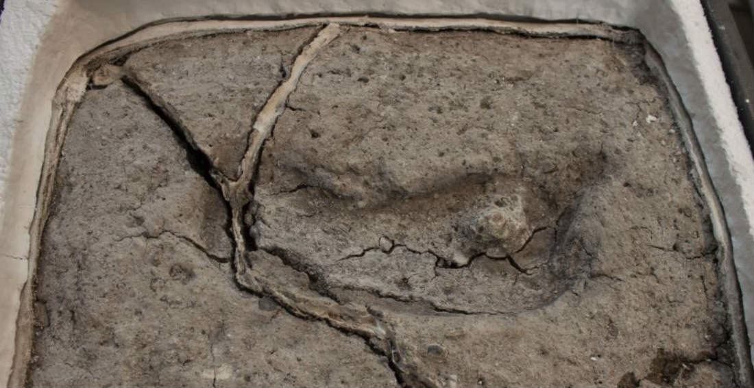 Encuentra en Chile la huella humana más antigua de América