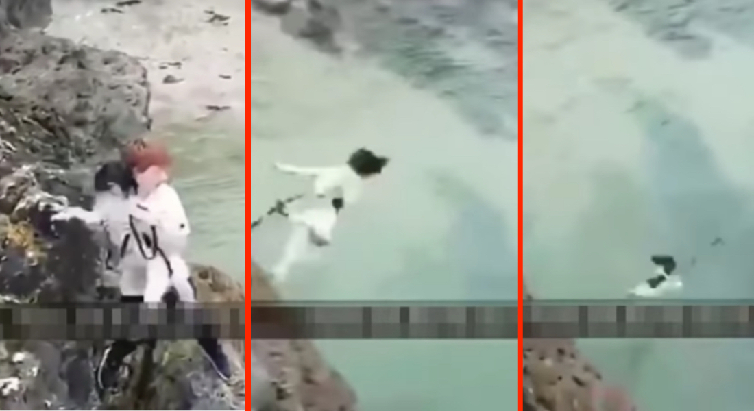 VIDEO: Perro visiblemente aterrado es arrojado al mar por adolescente
