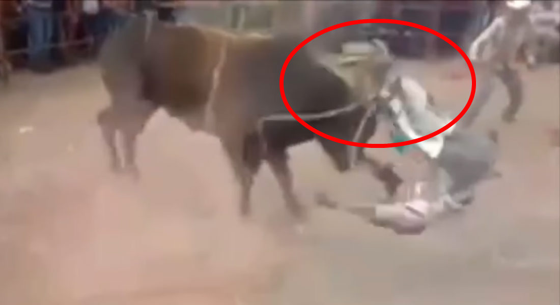 VIDEO: ¡Horrible! Lazan por error a jinete con toro y ocurre lo peor