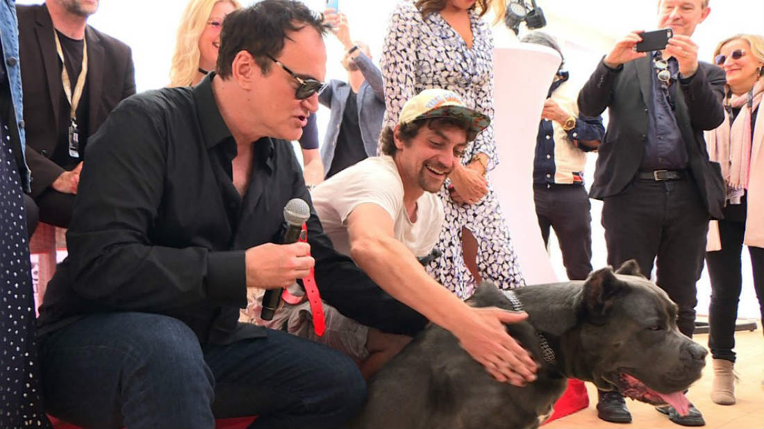 Bandy, la perrita de Tarantino, supera al «Borras» de Cuarón en Cannes