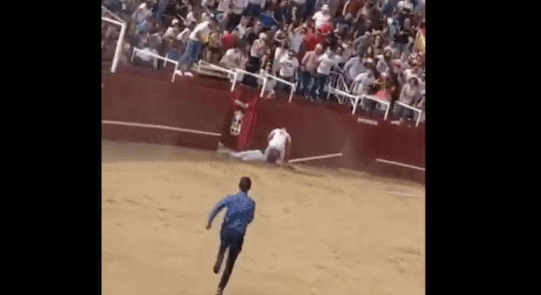 VIDEO: Toro mata a un hombre de una cornada en España