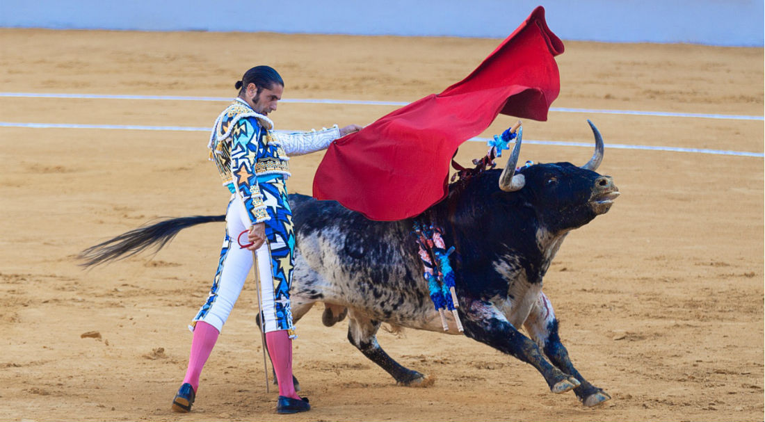 Prohíben las corridas de toros y peleas de gallos en Quintana Roo