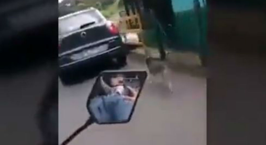 VIDEO: Motociclista persigue y enfrenta a familia que abandonó a su perrito